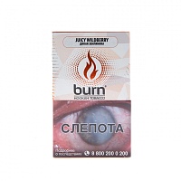 Burn Juicy wildberry 100гр