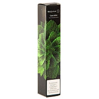 SOAK S Cane Mint 2500 затяжек