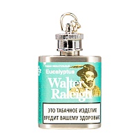 Табак нюхательный WALTER RALEIGH Eucalyptus 10гр