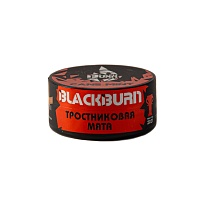 Burn BLACK Cane mint 25гр