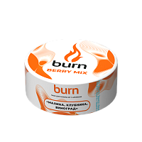 Burn Berry mix 25гр