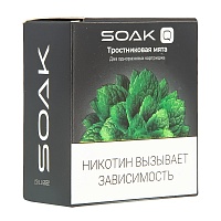 Картридж SOAK Q Тросниковая мята (2шт)