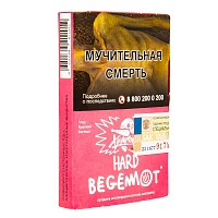 Хулиган HARD BEGEMOT 25гр