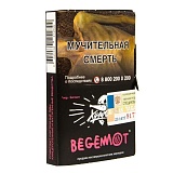 Хулиган BEGEMOT 25гр