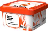 Burn Blueberry mint 200гр