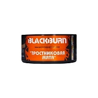 Фото  BlackBurn Тросниковая мята (Cane Mint), 25гр. 
