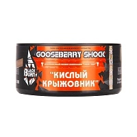 Фото  Burn BLACK Gooseberry Shock 100гр 