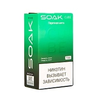 Фото  SOAK CUBE Перечная мята 7000 затяжек 