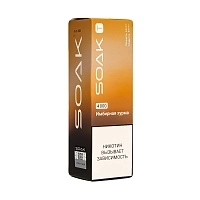 Фото  SOAK T Имбирная хурма 4000 затяжек 