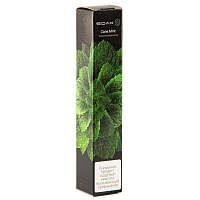 Фото  SOAK S Cane Mint 2500 затяжек 