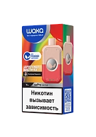Фото  WAKA Фруктовая Кислинка (7000 затяжек) 