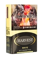 Фото  Сигареты с фильтром HARVEST WHITE KS 