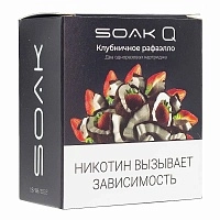 Фото  Картридж SOAK Q Клубничный Рафаэлло (2шт) 