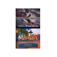 Фото  Adalya с ароматом ананаса, манго и мяты (Hawaii), 50гр. 