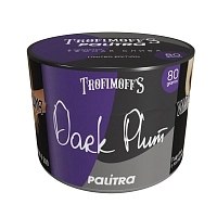 Фото  PALITRA Dark Plum 80гр 