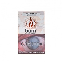 Фото  Burn Juicy wildberry 100гр 