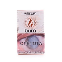 Фото  Burn Blueberry mint 100гр 