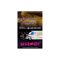 Фото  Хулиган BEGEMOT 25гр 