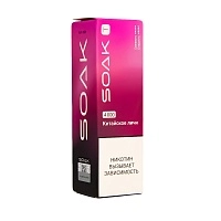 Фото  SOAK T Китайское личи 4000 затяжек 