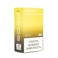 Фото  SOAK CUBE Малиновый чай с жасмином 7000 затяжек 