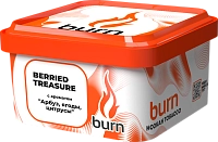 Фото  Burn Berried treasure 200гр 