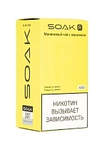 Фото  SOAK R Малиновый чай с жасмином 5000 затяжек 