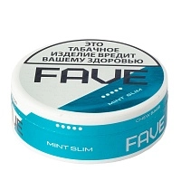 Фото  Табак жевательный FAVE Mint Slim Chew Bags(10 гр) 