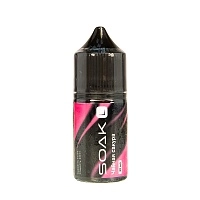 Фото  Жидкость SOAK L30 Mint Blackberry 30 мл 2 мг 